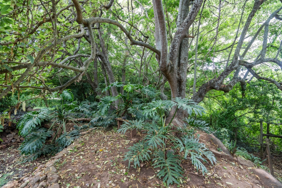 To Let 2 Bedroom Property for Rent in Bathurst Eastern Cape